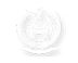 Punjab Logo